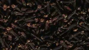 A tightly packed, close-up image of dark brown, whole dried cloves