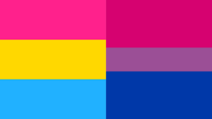 _Split image displaying the Pansexual flag on the left and the Bisexual flag on the right