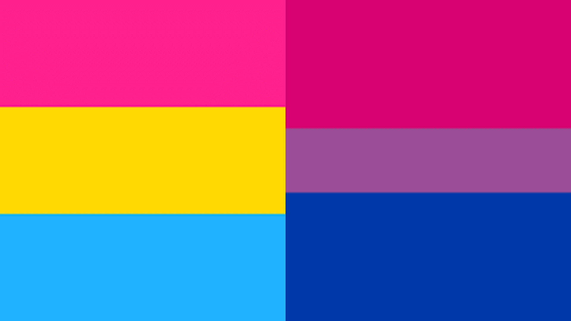_Split image displaying the Pansexual flag on the left and the Bisexual flag on the right