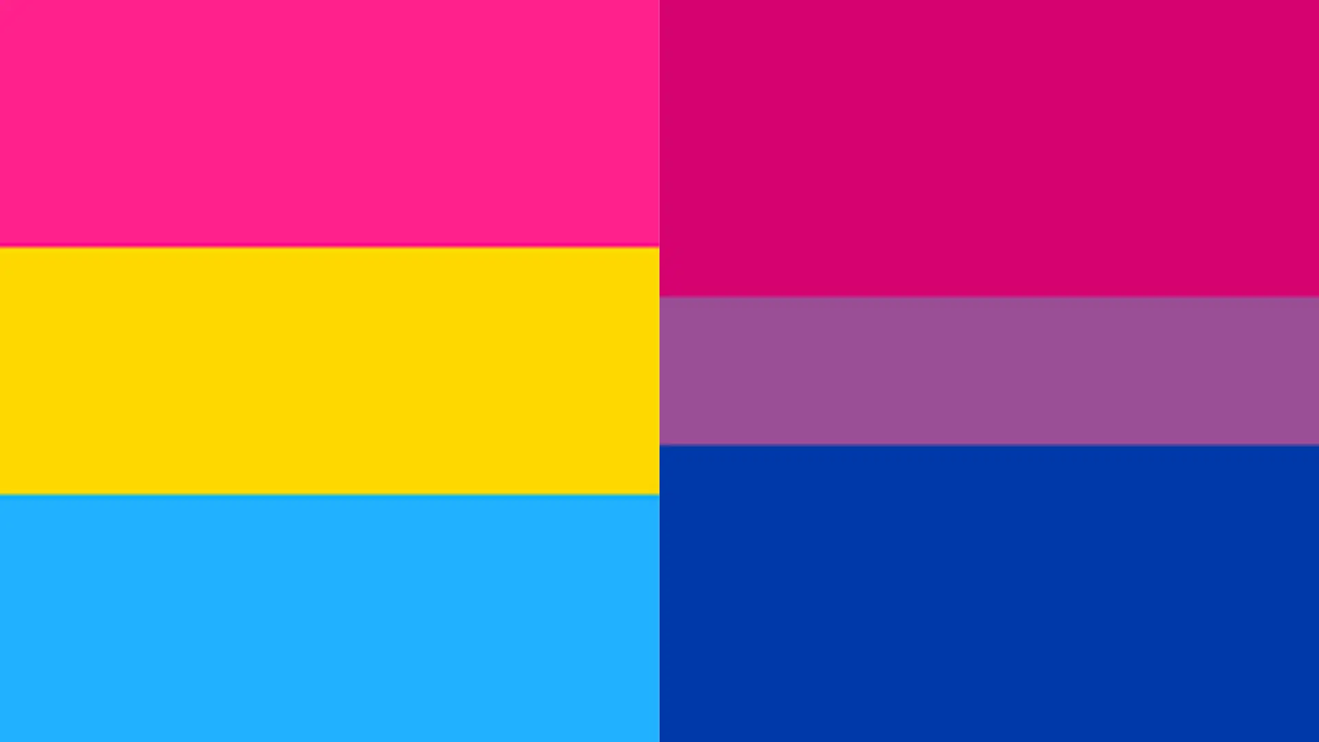 _Split image displaying the Pansexual flag on the left and the Bisexual flag on the right