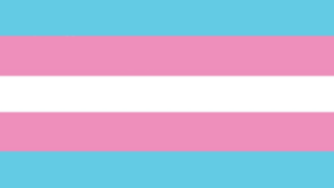 Transgender Pride Flag with five horizontal stripes of light blue, pink, white, pink, and light blue