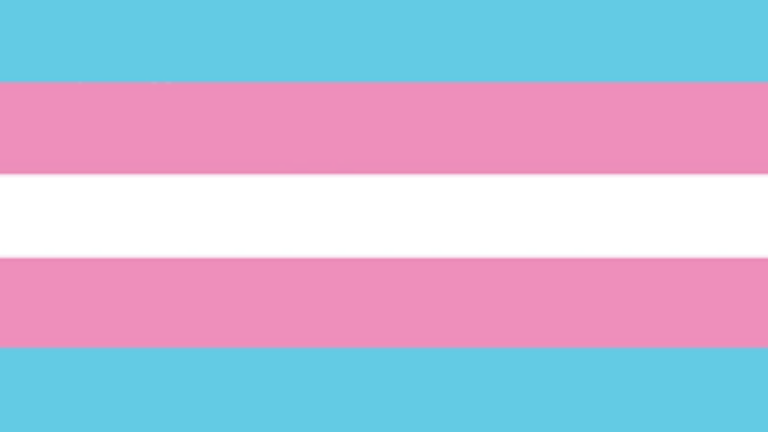 Transgender Pride Flag with five horizontal stripes of light blue, pink, white, pink, and light blue