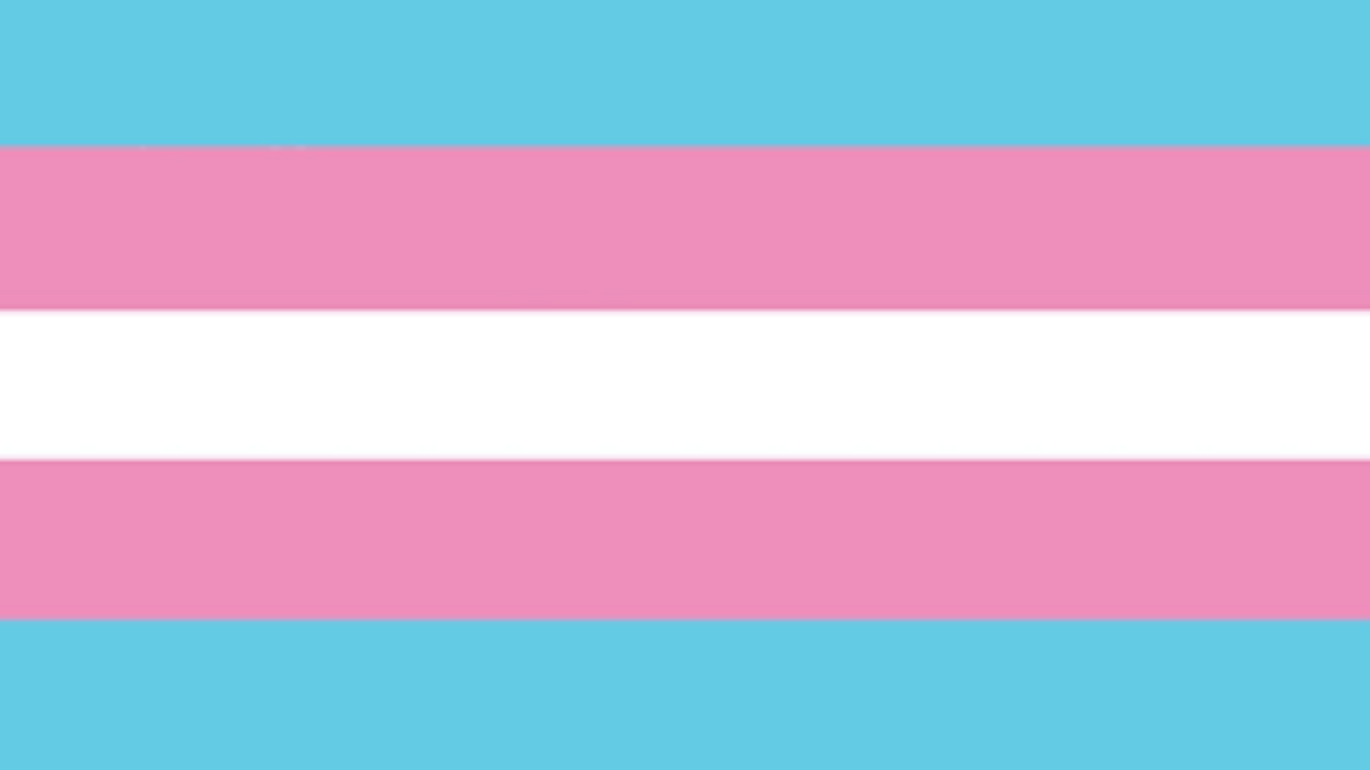 Transgender Pride Flag with five horizontal stripes of light blue, pink, white, pink, and light blue