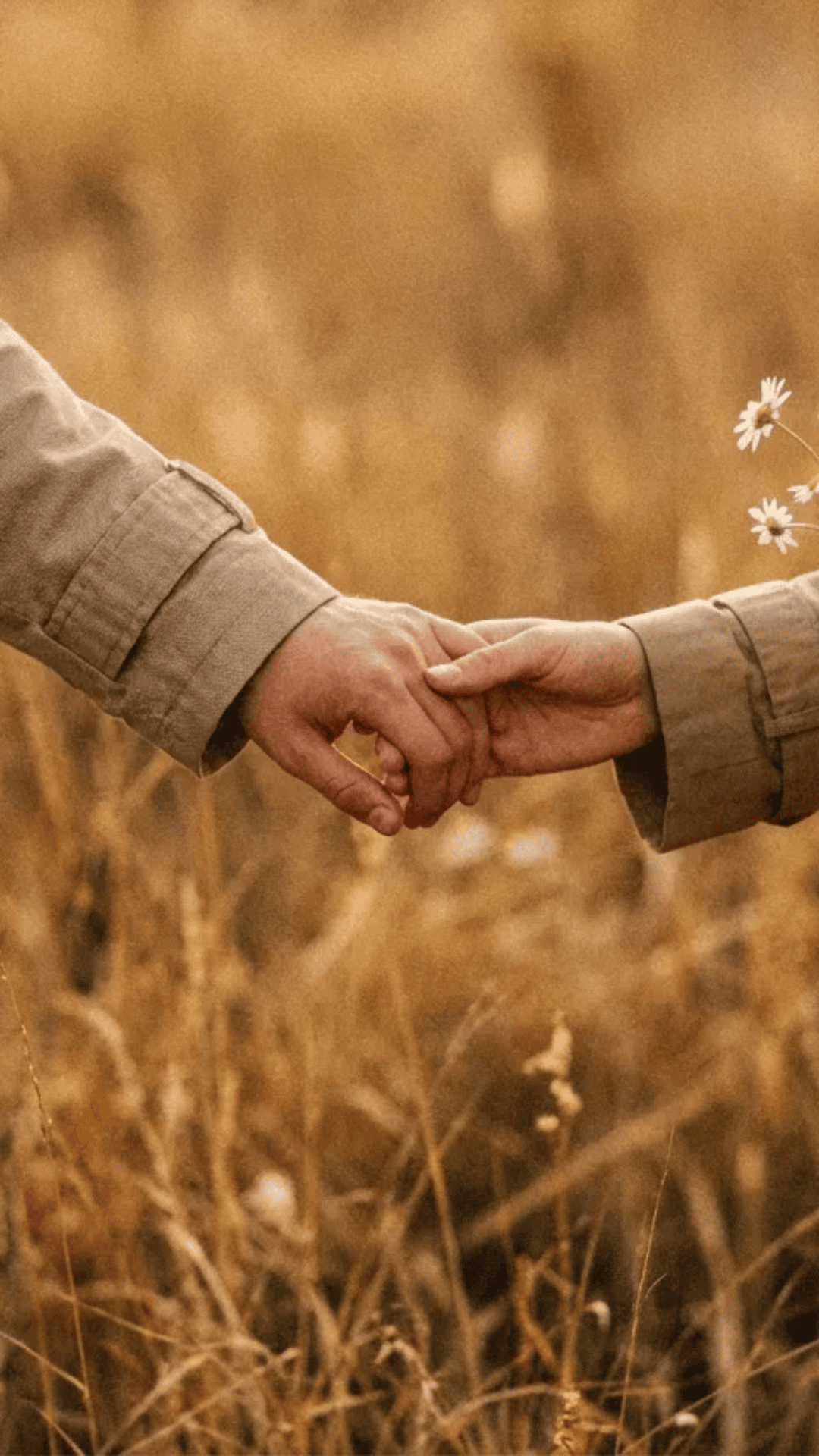 about us lastfirst 2