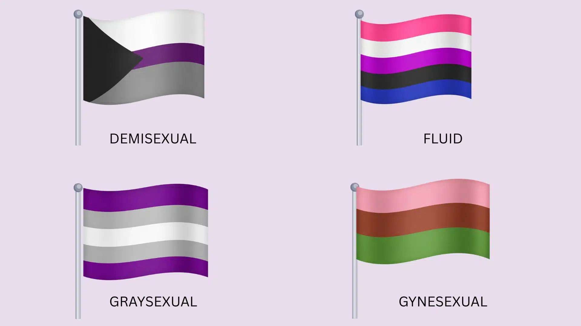 A display of four colorful flags representing various sexualities, each labeled with its respective name.