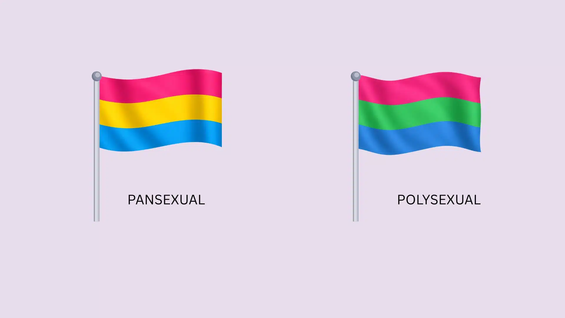 A pansexual flag and a polysexual flag, each showcasing their distinct colors and symbols, representing LGBTQ+ identities.