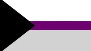 A triangle composed of black with white purple grey colors with a distinct black line running across