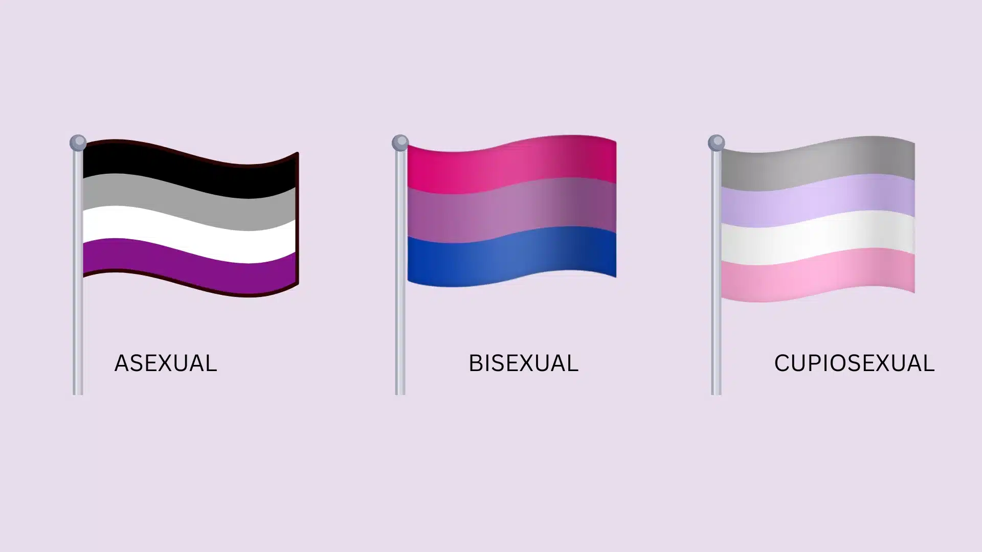 Flags featuring the terms