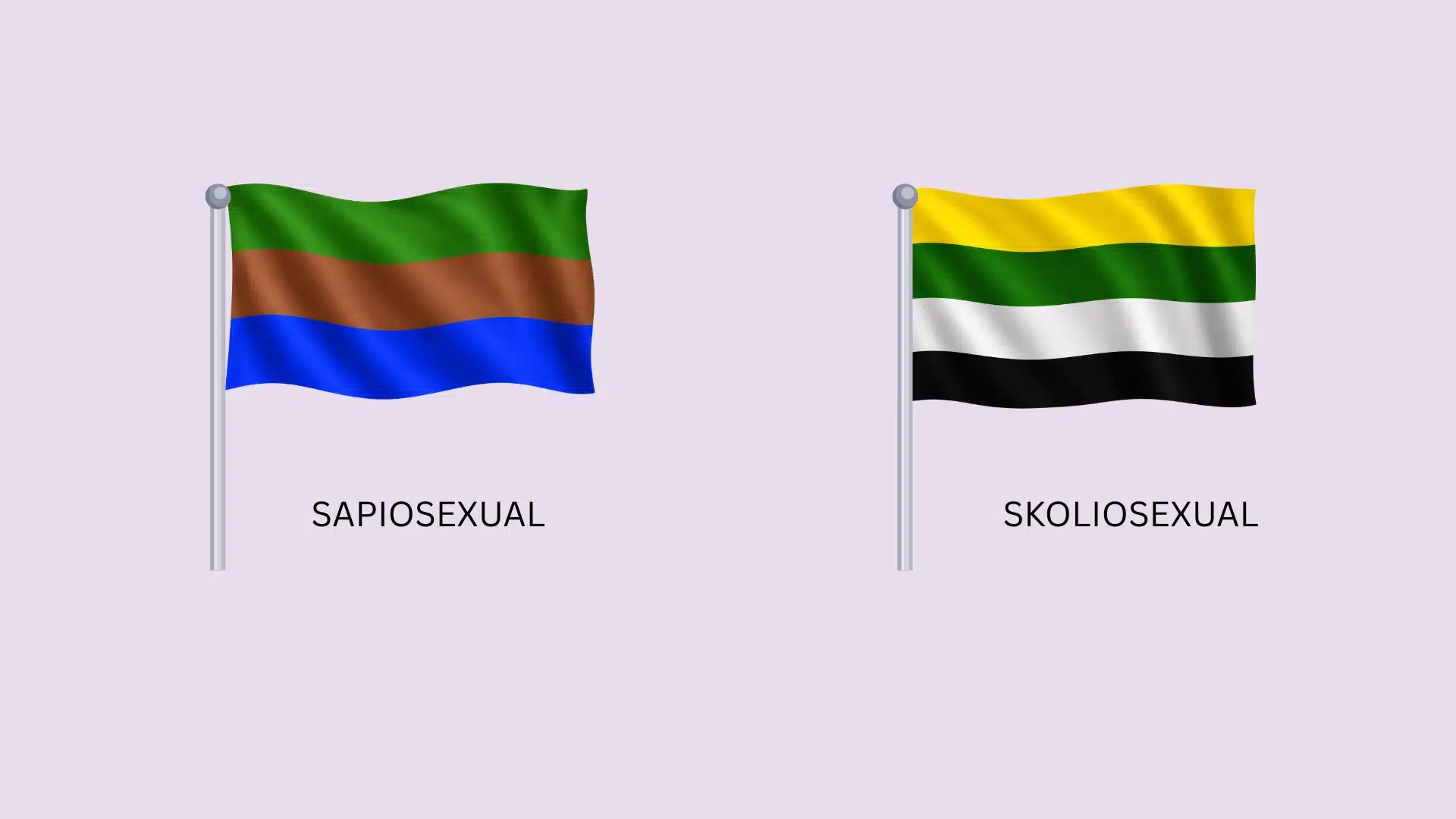 Illustration of flags, representing two distinct sexual identities with vibrant colors and patterns.