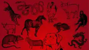 Illustrations showing the twelve Chinese Zodiac signs, rat, ox, tiger, rabbit, dragon, snake, horse, goat, monkey, rooster, dog, and pig