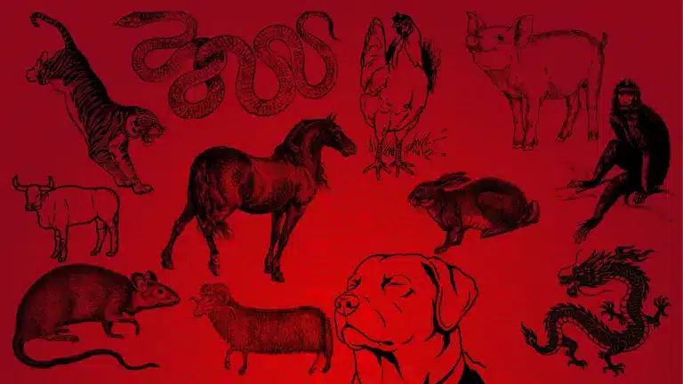 Illustrations showing the twelve Chinese Zodiac signs, rat, ox, tiger, rabbit, dragon, snake, horse, goat, monkey, rooster, dog, and pig
