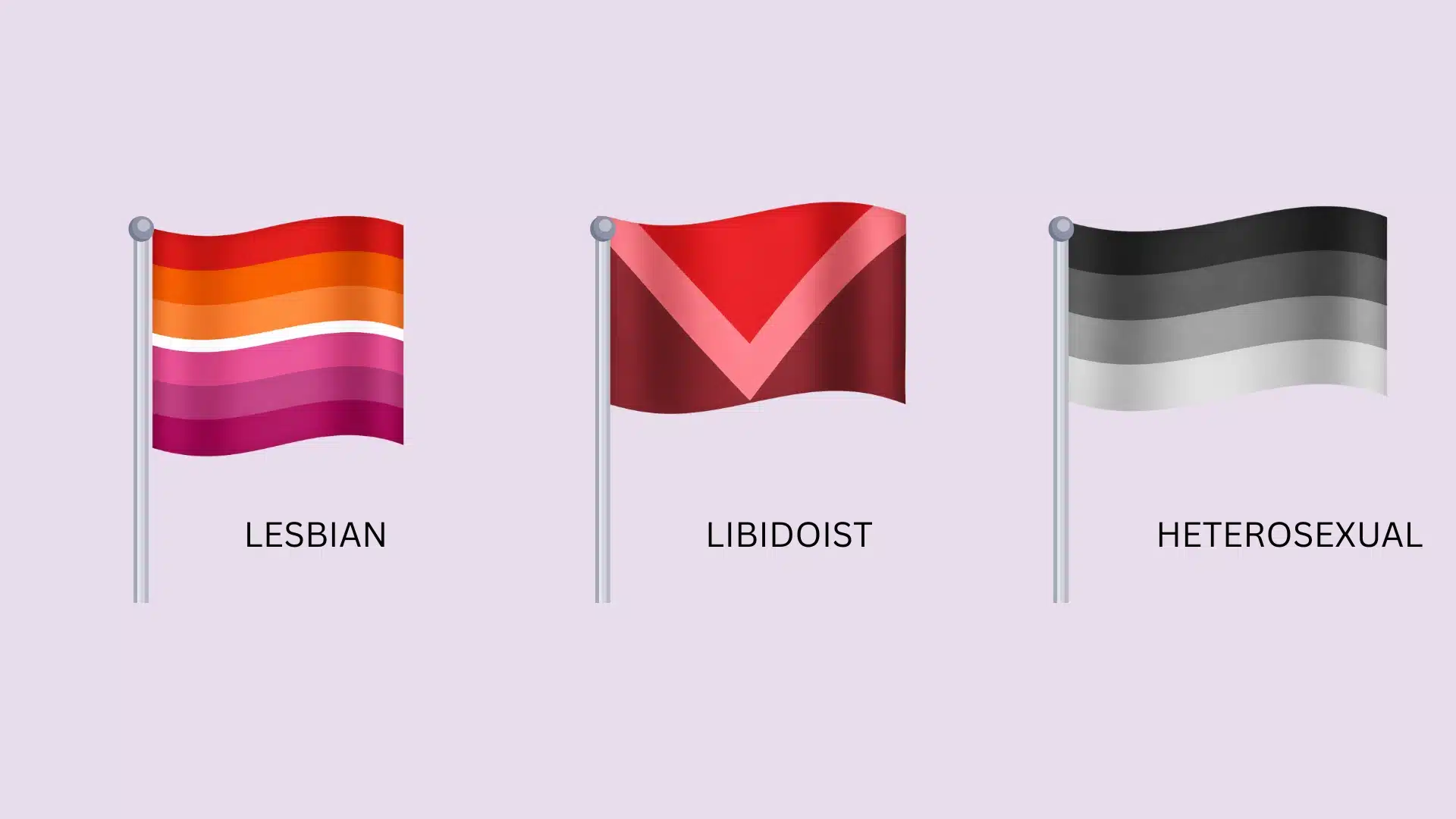 Three distinct flags labeled lesbian, libidoist , and heterosexual, symbolizing various sexual orientations.