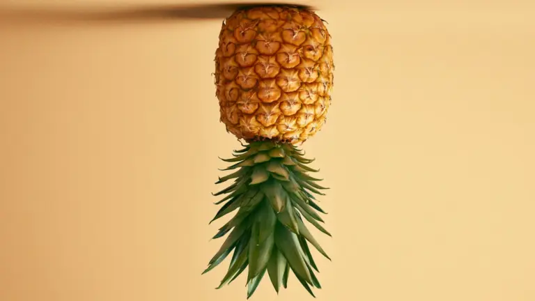 Upside down pineapple balanced on its leafy crown against a plain beige background with soft natural lighting